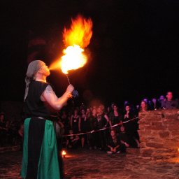 2013 - feuershow - 00014 (2)